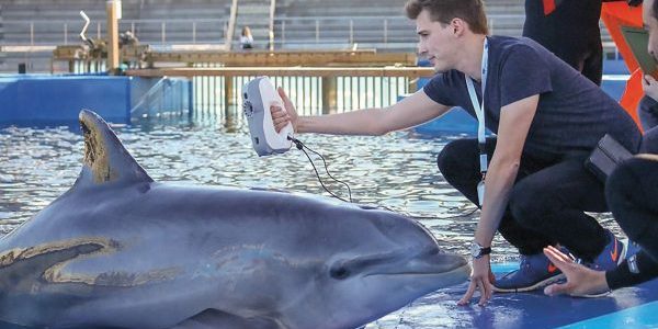 SUIVI DES ANIMAUX MARINS SUIVI DES ANIMAUX MARINS