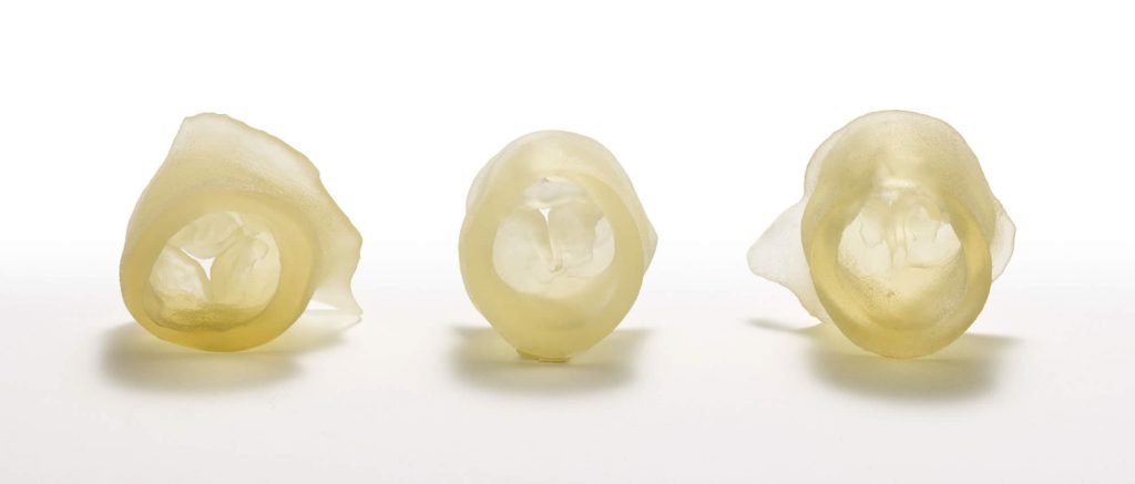 Anatomie numérique des valves cardiaques