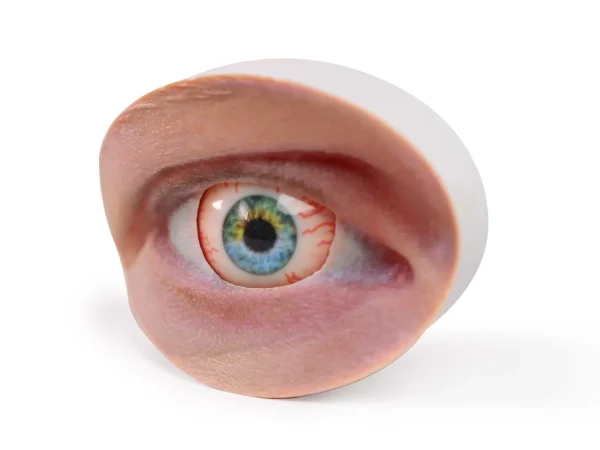 Eye model