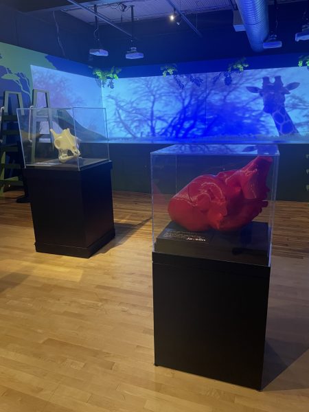 3D Printed Giraffe Skull and Heart