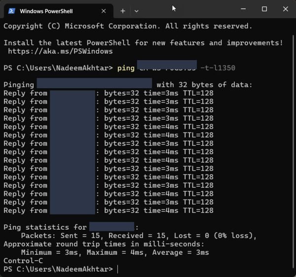 ping test ping 2